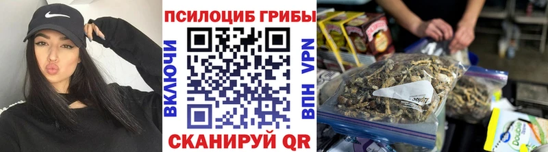 Купить  Саки  Псилоцибиновые грибы Psilocybe 